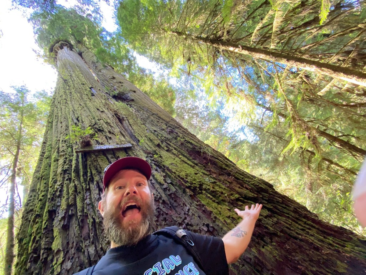 Big Left Turn: Crescent City & The&nbsp;Redwoods